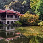 tokyo, park, nature-2805500.jpg